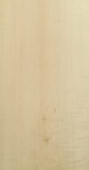 16_Maple_1314_1.jpg