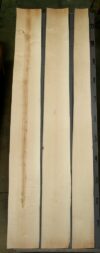 16_Maple_1314_4.jpg
