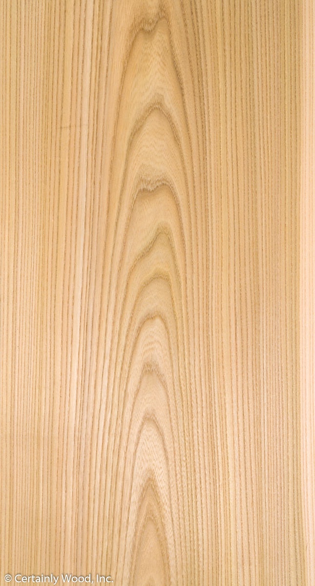Featured Product Image
