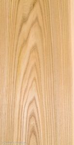 16_R_ELM_20210-1C_01.jpg