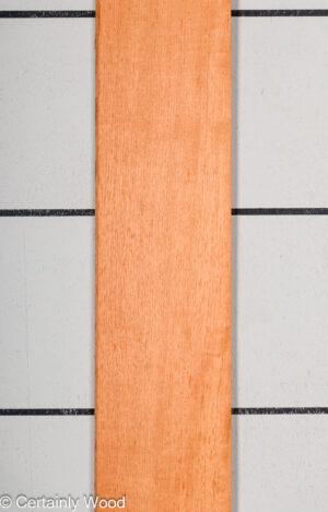 1/16 SP CEDAR 23515-2