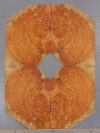 AMBOYNA_1401-4B_3.jpg