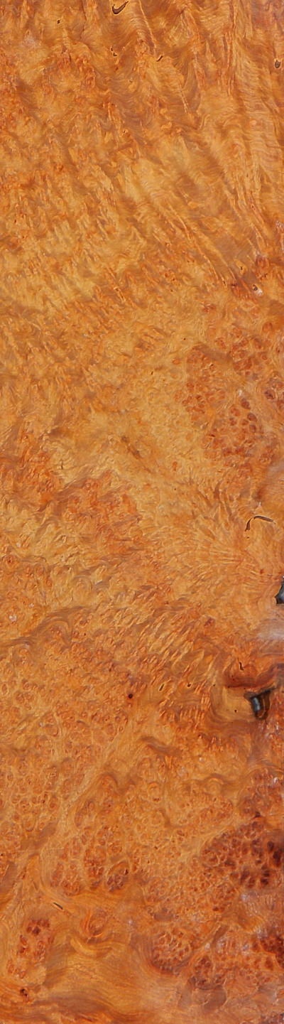 Featured Product Image