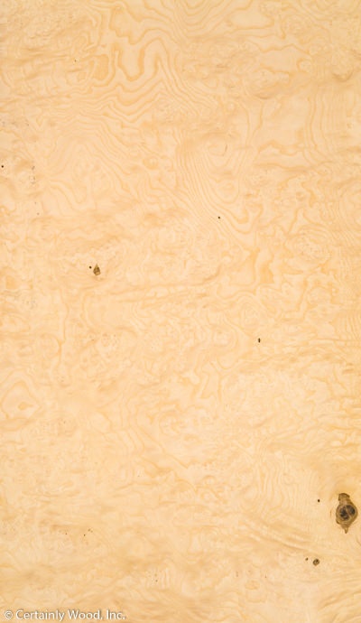Featured Product Image