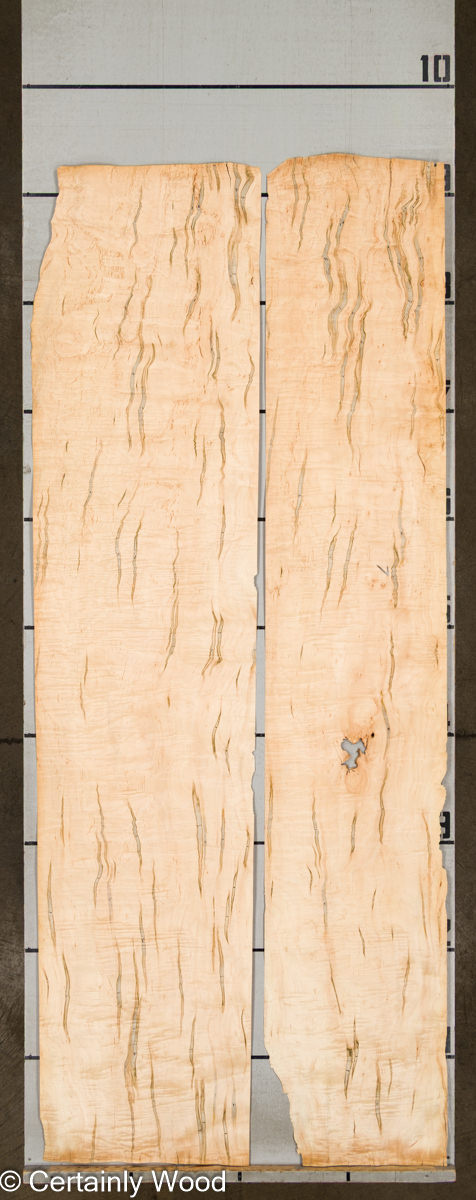 A MAPLE 22316-4 - Image 2