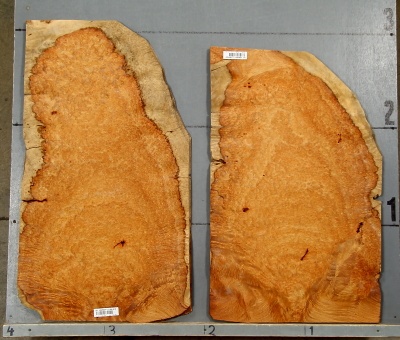 AMBOYNA 1002-1 - Image 2