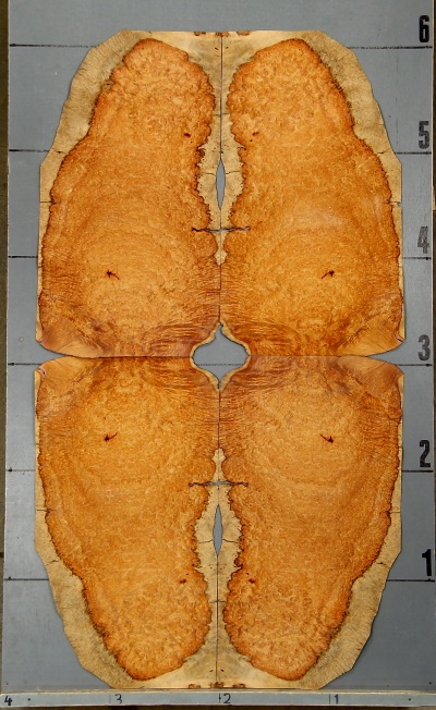 AMBOYNA 1002-1 - Image 3