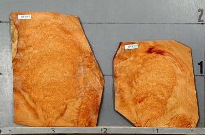 AMBOYNA 1002-1 - Image 4