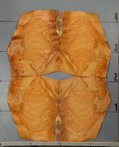 AMBOYNA 1002-1 - Image 5