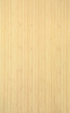 BAMBOO_1401_1.jpg