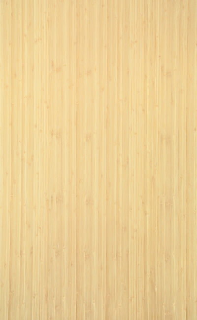 BAMBOO_1401_1.jpg