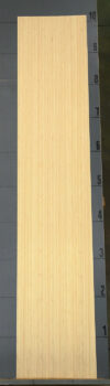 BAMBOO_1401_4.jpg