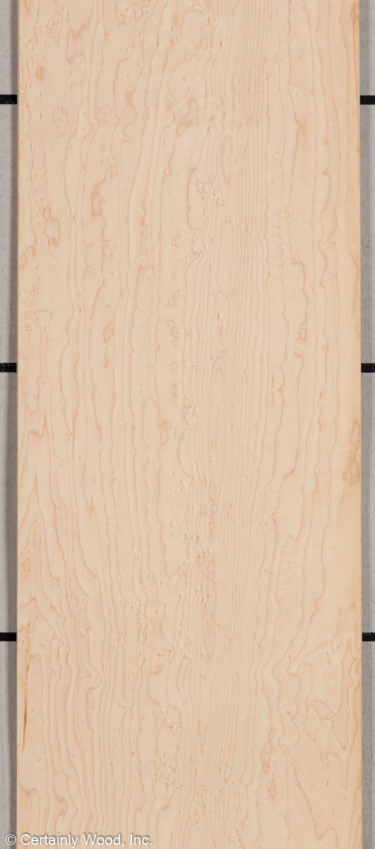 Featured Product Image