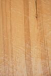 BE_Maple_1107_1.jpg