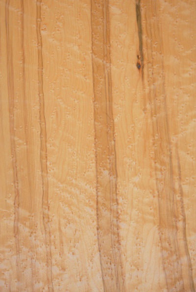 BE_Maple_1107_1.jpg