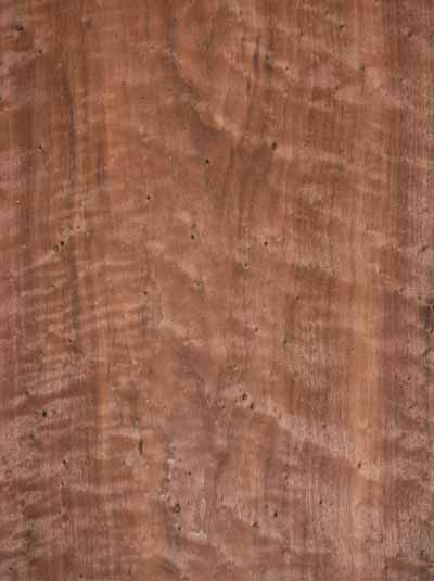 BE_Walnut_1101_1.jpg