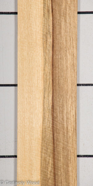 BLK LIMBA 22407-1G