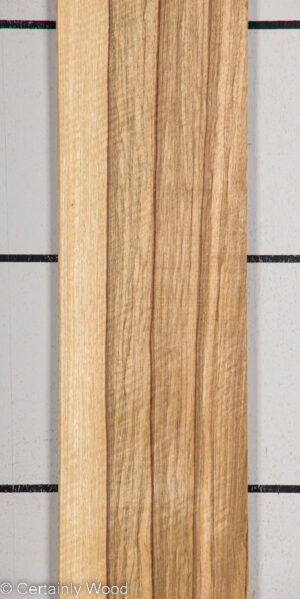 BLK LIMBA 22407-2A