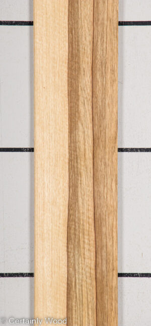 BLK LIMBA 22407-2D