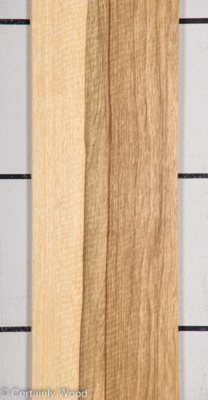 BLK LIMBA 22407-3A