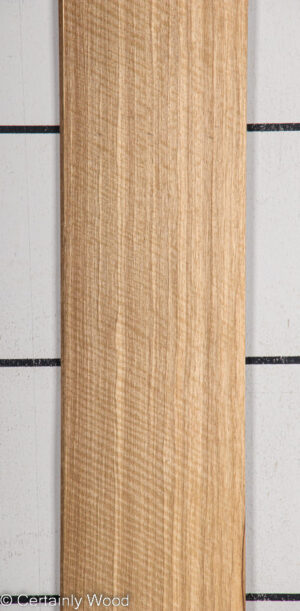 BLK LIMBA 22407-4A