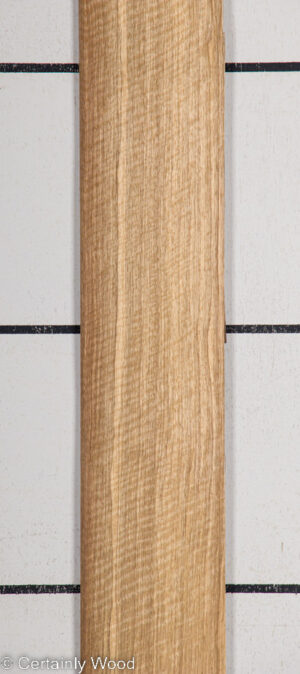 BLK LIMBA 22407-4C