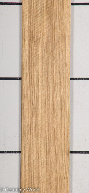 BLK LIMBA 22407-5B