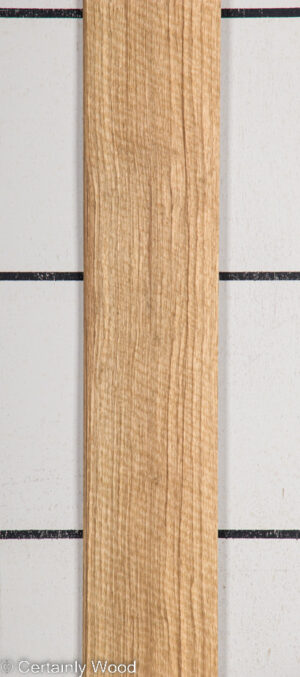 BLK LIMBA 22407-5D