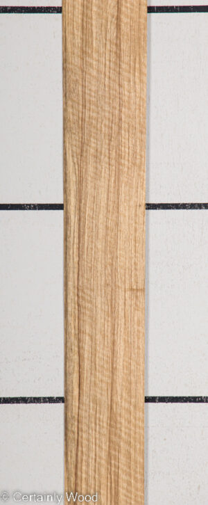 BLK LIMBA 22407-5F