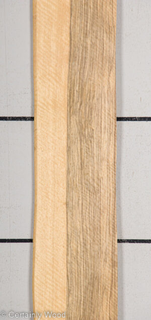 BLK LIMBA 22408-3