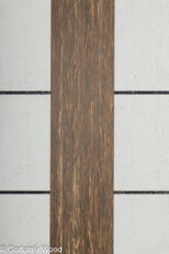 BLK_PALM_23066_1.jpg