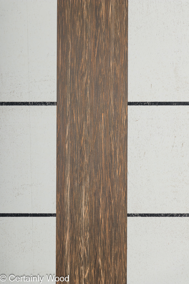 BLK_PALM_23066_1.jpg