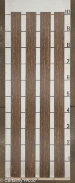 BLK_PALM_23066_2.jpg