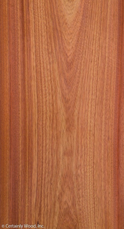 Featured Product Image