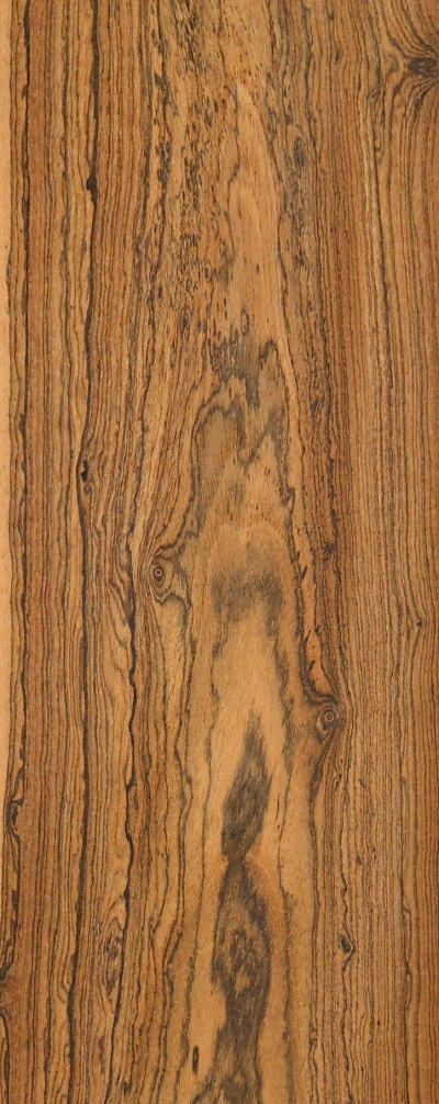 BOCOTE_1301-1_1.jpg