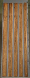 BOCOTE_1301-1_6.jpg