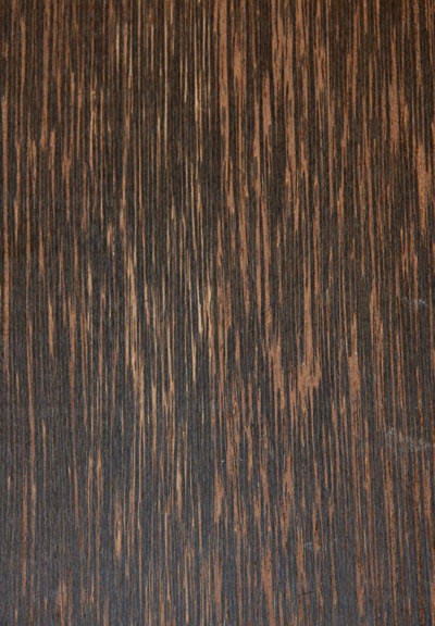 Blk_Palm_1201_1.jpg Blk_Palm_1201_1.jpg