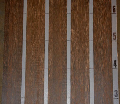 Blk_Palm_1201_2.jpg Blk_Palm_1201_2.jpg