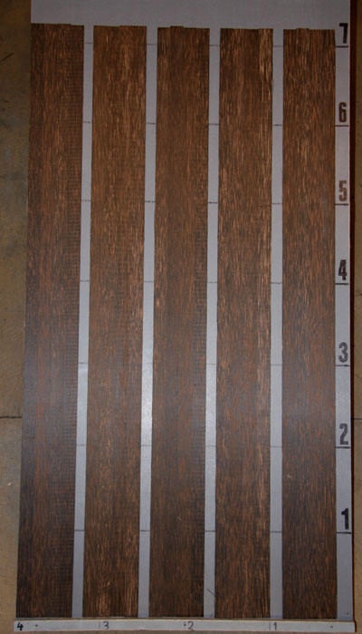 Blk_Palm_1201_3.jpg Blk_Palm_1201_3.jpg