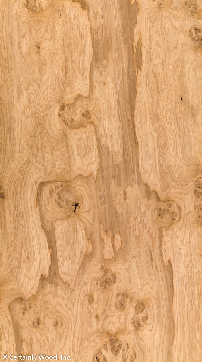 Featured Product Image