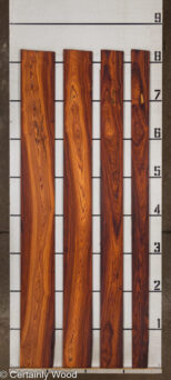 COCOBOLO_23398-1_2.jpg
