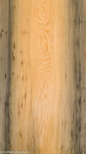 CYPRESS_18318-1_01.jpg