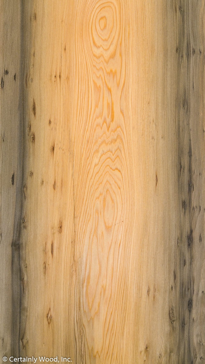CYPRESS_18318-1_01.jpg