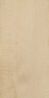 C_MAPLE_1401_1.jpg