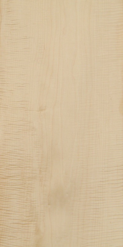 C_MAPLE_1401_1.jpg