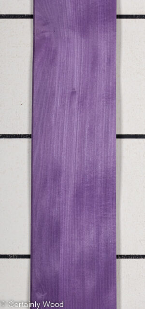 DYED PURPLE 22476-4