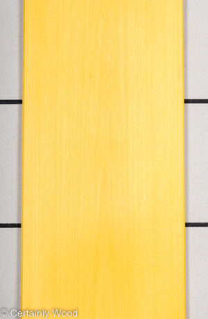 DYED YELLOW 22475