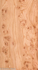 ELM_BURL_22306-15C_1.jpg