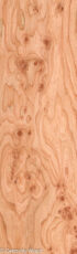 ELM_BURL_22306-26_1.jpg