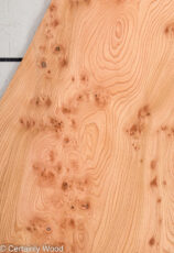 ELM_BURL_22306-29_1.jpg